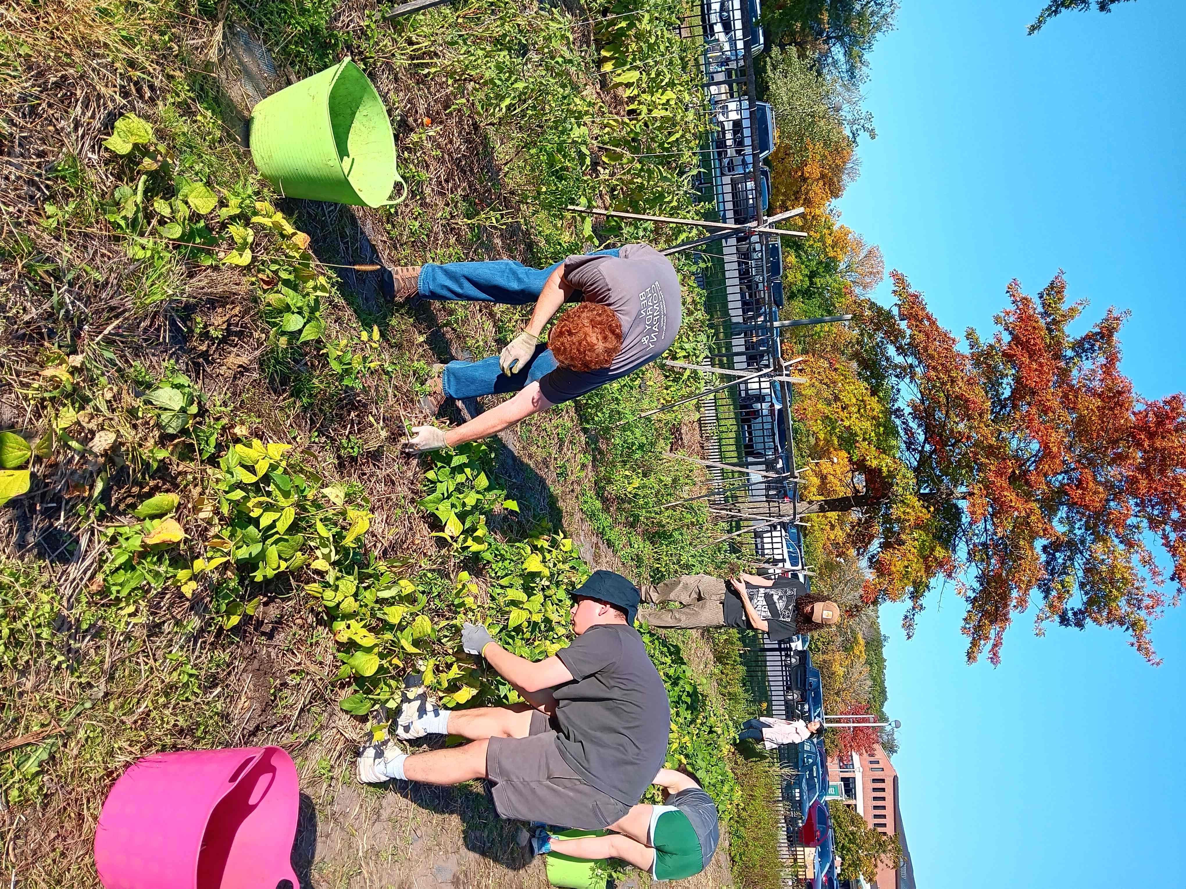 garden work